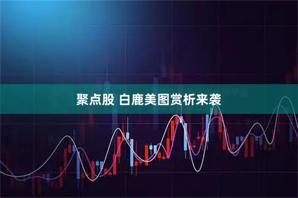 聚点股 白鹿美图赏析来袭