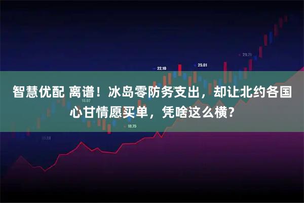 智慧优配 离谱！冰岛零防务支出，却让北约各国心甘情愿买单，凭啥这么横？