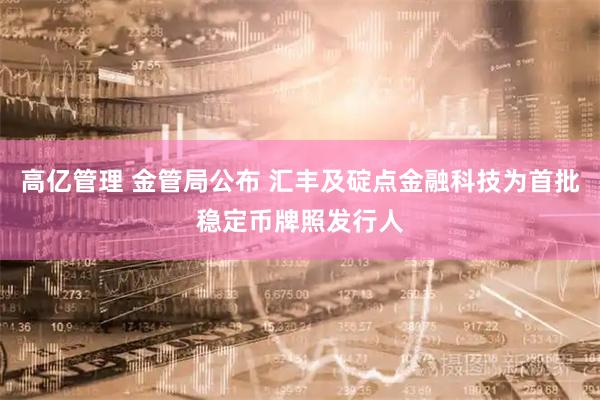 高亿管理 金管局公布 汇丰及碇点金融科技为首批稳定币牌照发行人