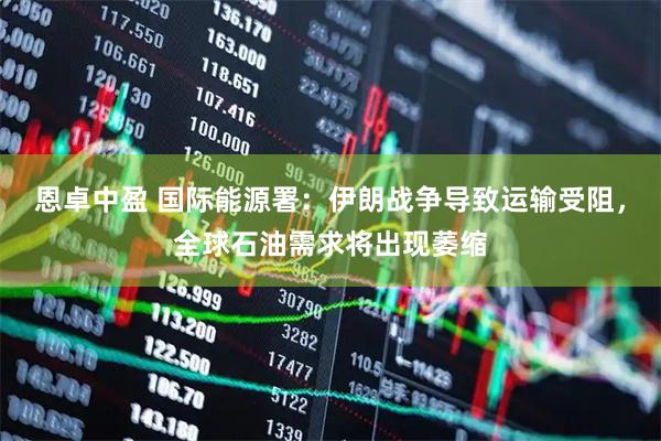 恩卓中盈 国际能源署：伊朗战争导致运输受阻，全球石油需求将出现萎缩