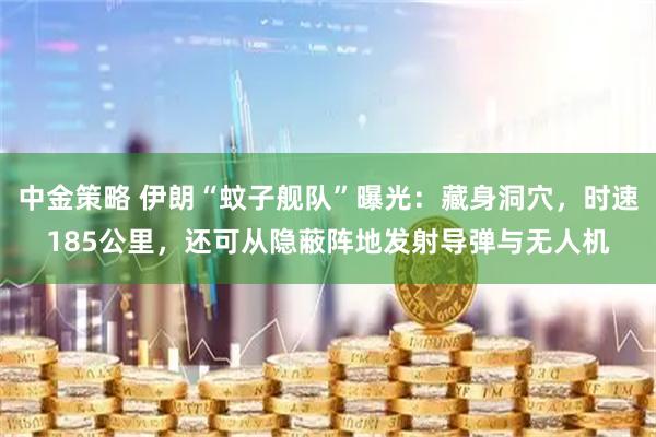 中金策略 伊朗“蚊子舰队”曝光：藏身洞穴，时速185公里，还可从隐蔽阵地发射导弹与无人机
