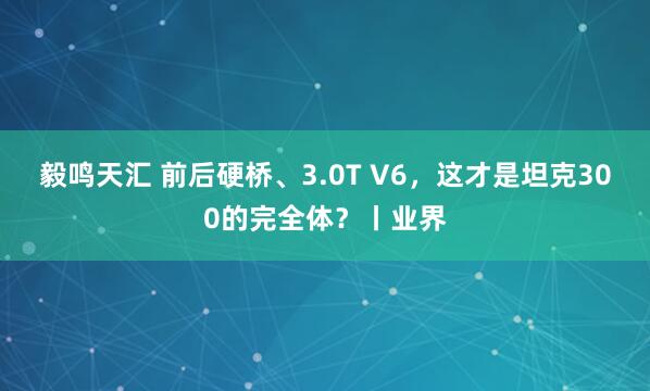 毅鸣天汇 前后硬桥、3.0T V6，这才是坦克300的完全体？丨业界